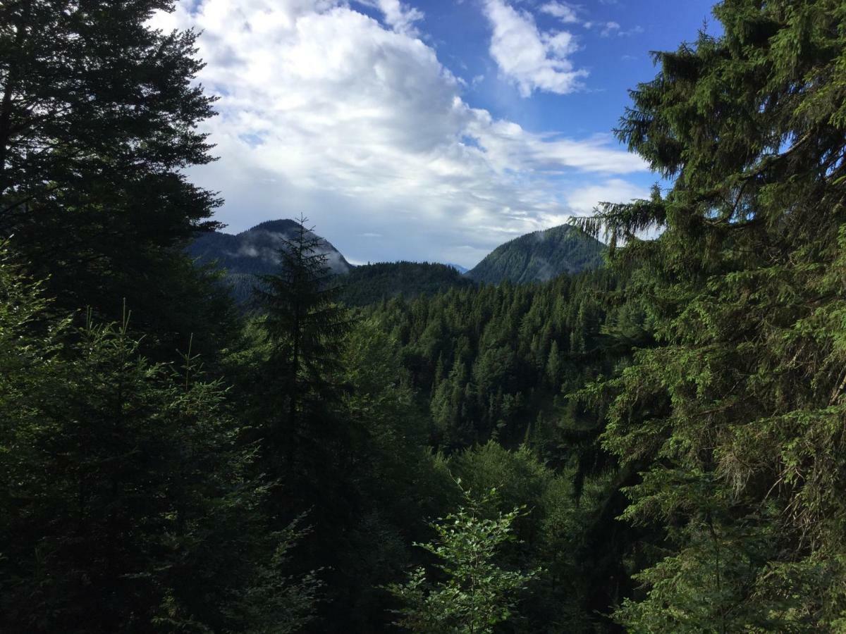 Ferienwohnung Almflair Chalet Thiersee Eksteriør billede