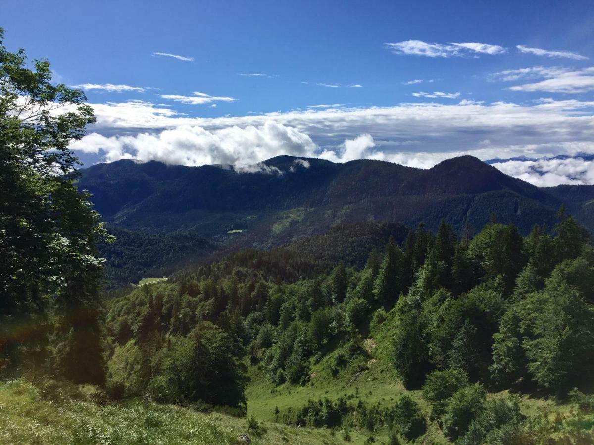 Ferienwohnung Almflair Chalet Thiersee Eksteriør billede