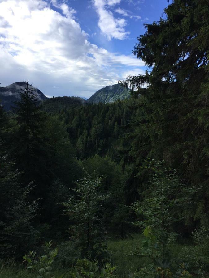 Ferienwohnung Almflair Chalet Thiersee Eksteriør billede